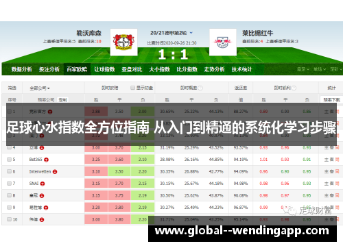 足球心水指数全方位指南 从入门到精通的系统化学习步骤