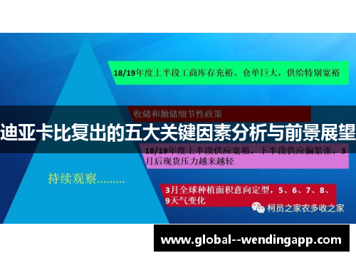 迪亚卡比复出的五大关键因素分析与前景展望