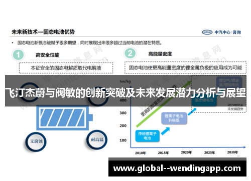 飞汀杰蔚与阀敏的创新突破及未来发展潜力分析与展望