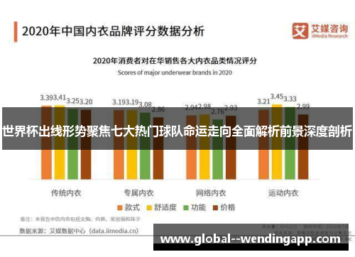 世界杯出线形势聚焦七大热门球队命运走向全面解析前景深度剖析
