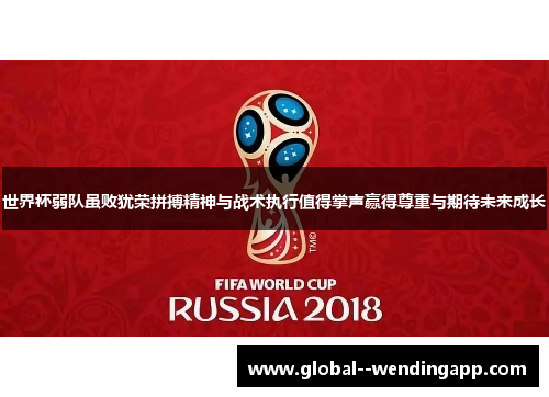 世界杯弱队虽败犹荣拼搏精神与战术执行值得掌声赢得尊重与期待未来成长